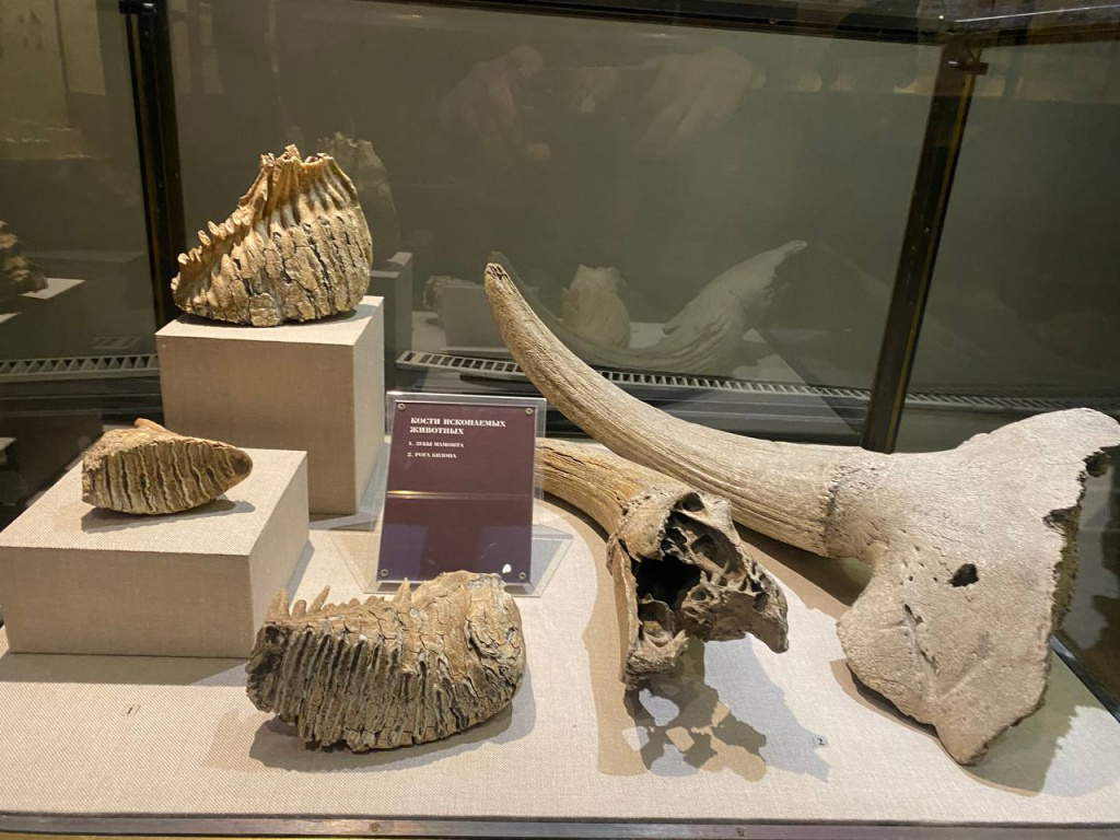 милые кости